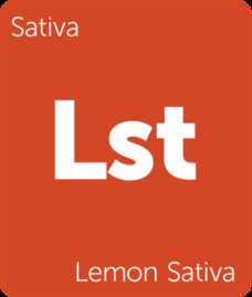 Lemon Sativa 15g